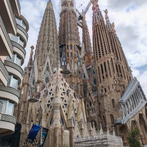 550229247_10240242483379098_2441421984275336478_n