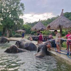 615050655_10241980049897175_2761930207697385929_n