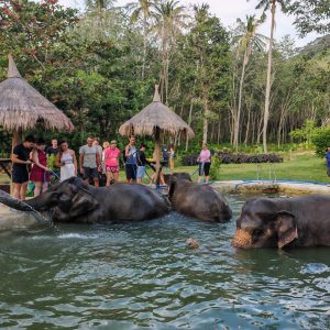 615097090_10241980047697120_8012697642198247095_n